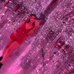 Art exhibit in houston