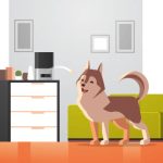 automatic pet feeder