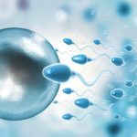 IVF
